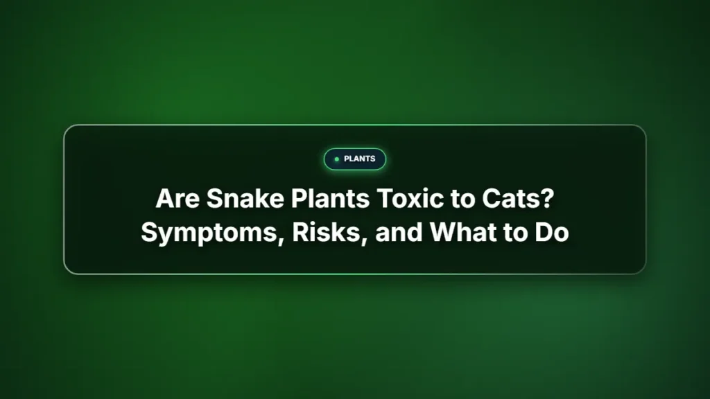 Are snake plants toxic to cats
