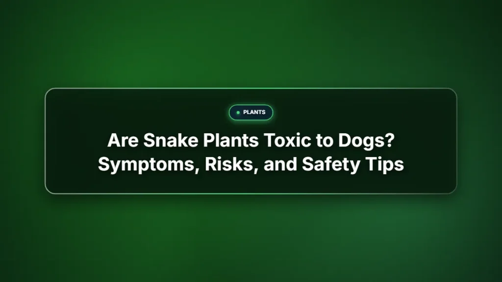 Are snake plants toxic to dogs