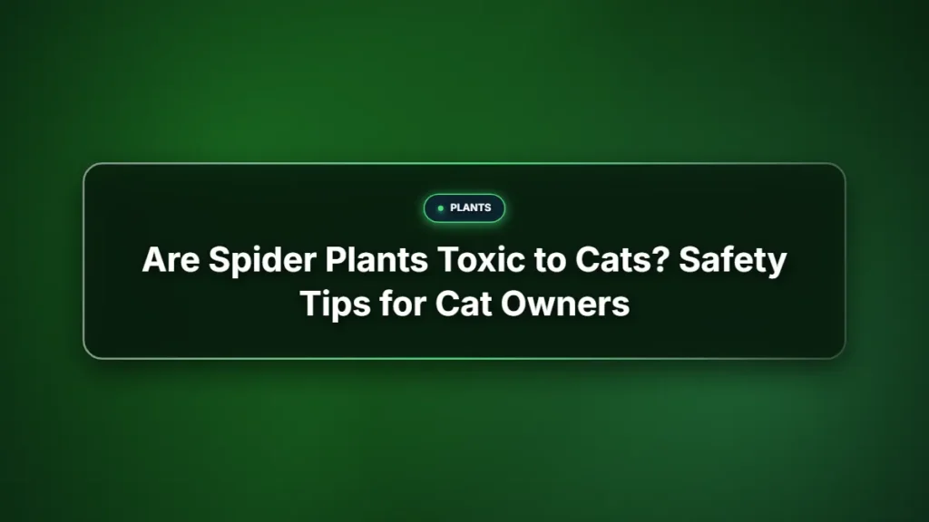 Are spider plants toxic to cats