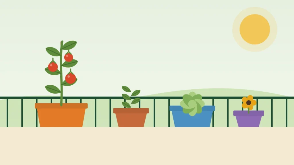 Illustration of vegetables and herbs growing in pots on a balcony