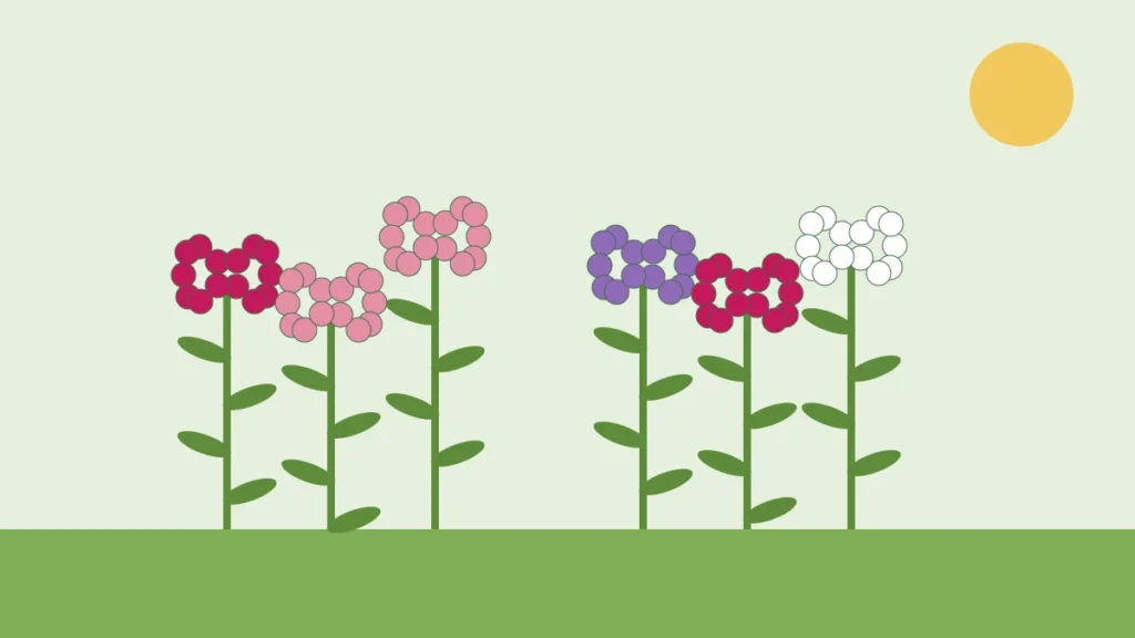 Illustration of tall garden phlox with domed clusters of pink, purple and white flowers
