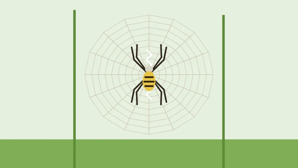 Illustration of a yellow garden spider in an orb web with a zigzag center between garden stems