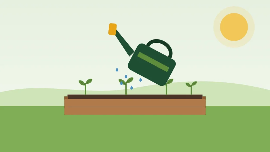 Illustration of a watering can pouring water onto seedlings in a raised bed