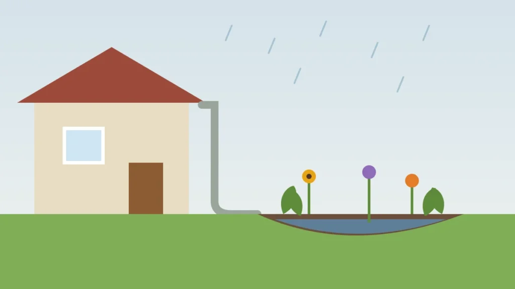 Illustration of a house downspout carrying rainwater into a shallow planted rain garden
