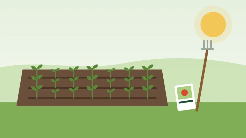 Illustration of a new vegetable garden plot with rows of seedlings, a garden fork and a seed packet