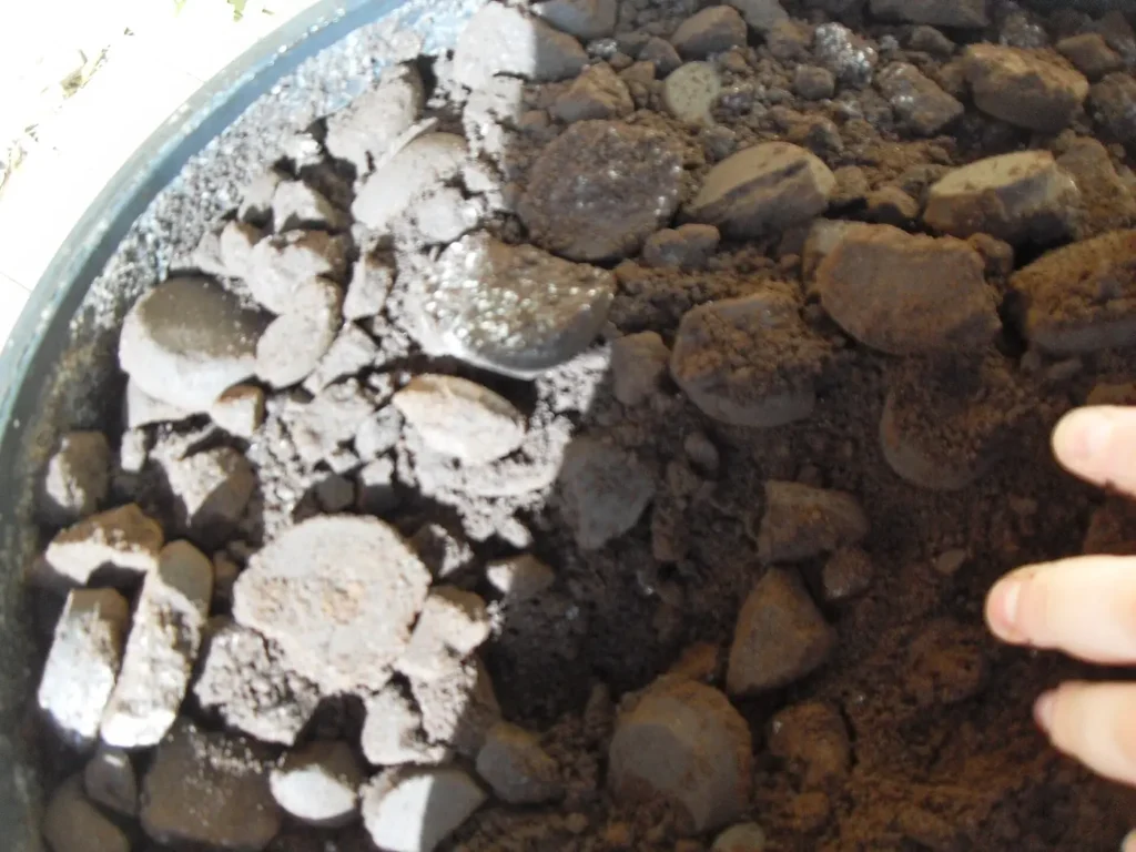 A bucket of used coffee grounds collected for composting