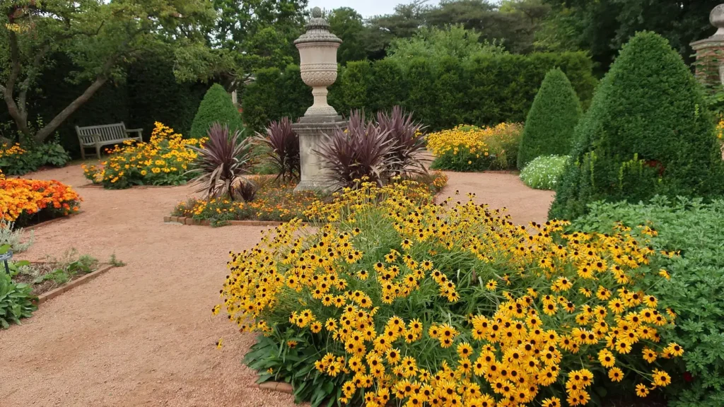 Black-eyed Susans and mums in an English walled garden