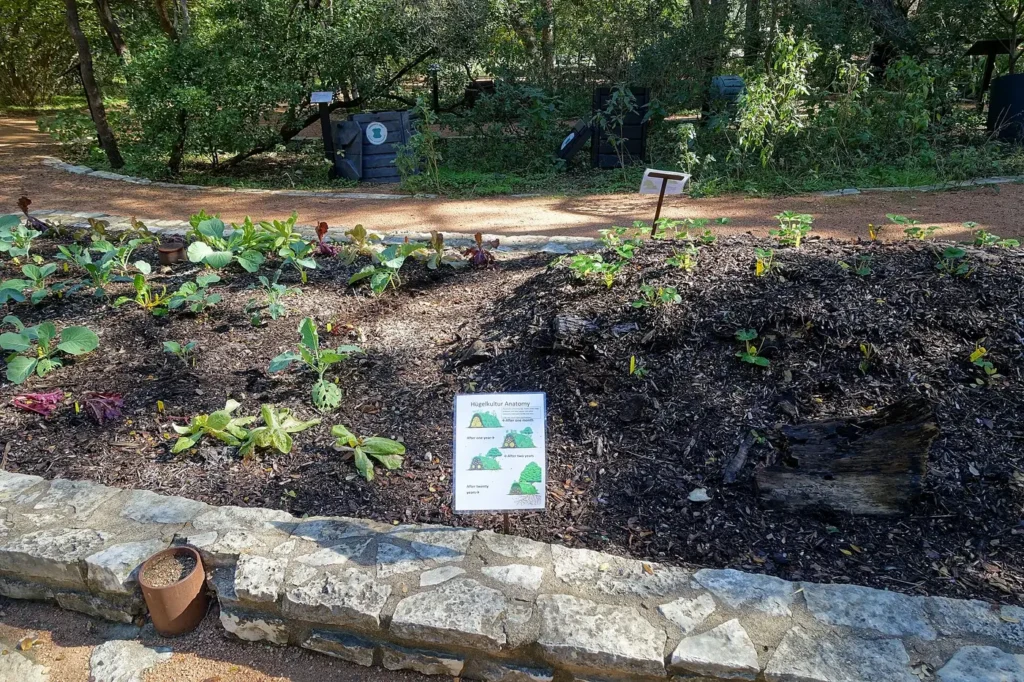 A planted hugelkultur bed in a botanical garden