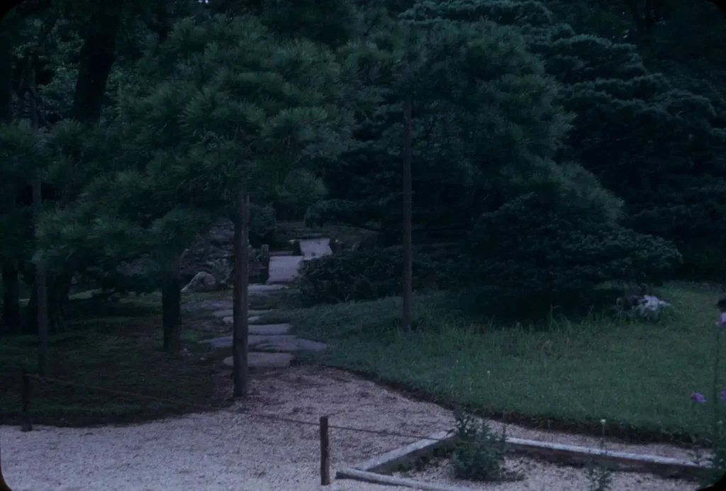 A gravel and stepping stone path in a Japanese garden