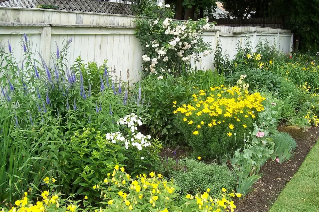 A perennial flower border planted against a wall
