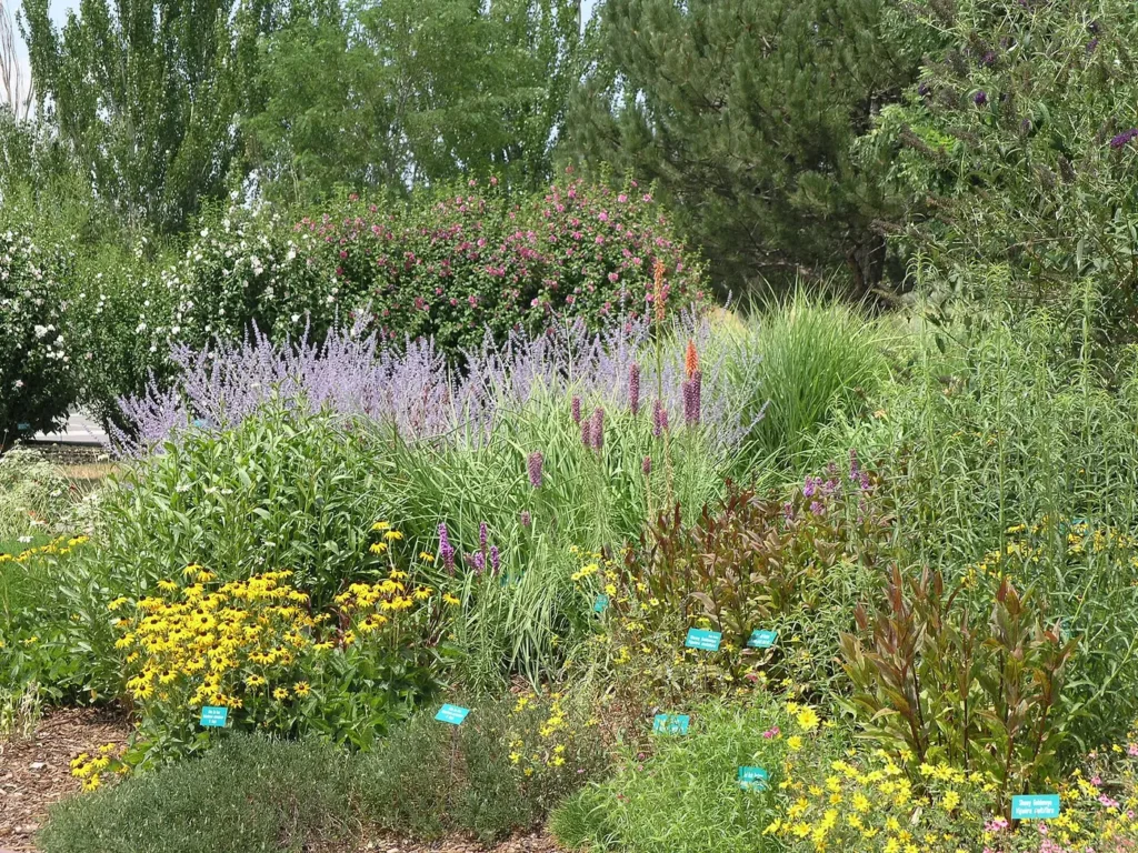 A landscape of mixed flowering perennials