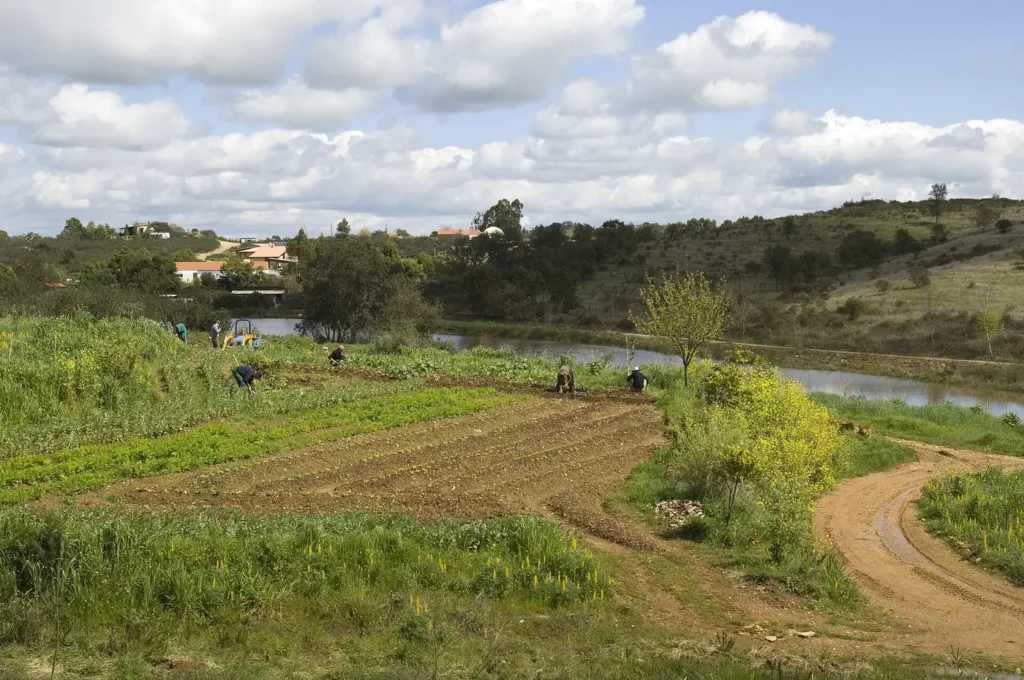 A diverse permaculture garden with mixed plantings