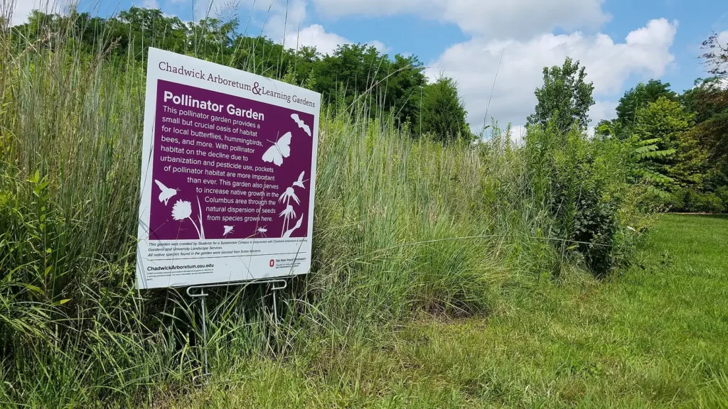 A home pollinator garden planted with native flowering perennials