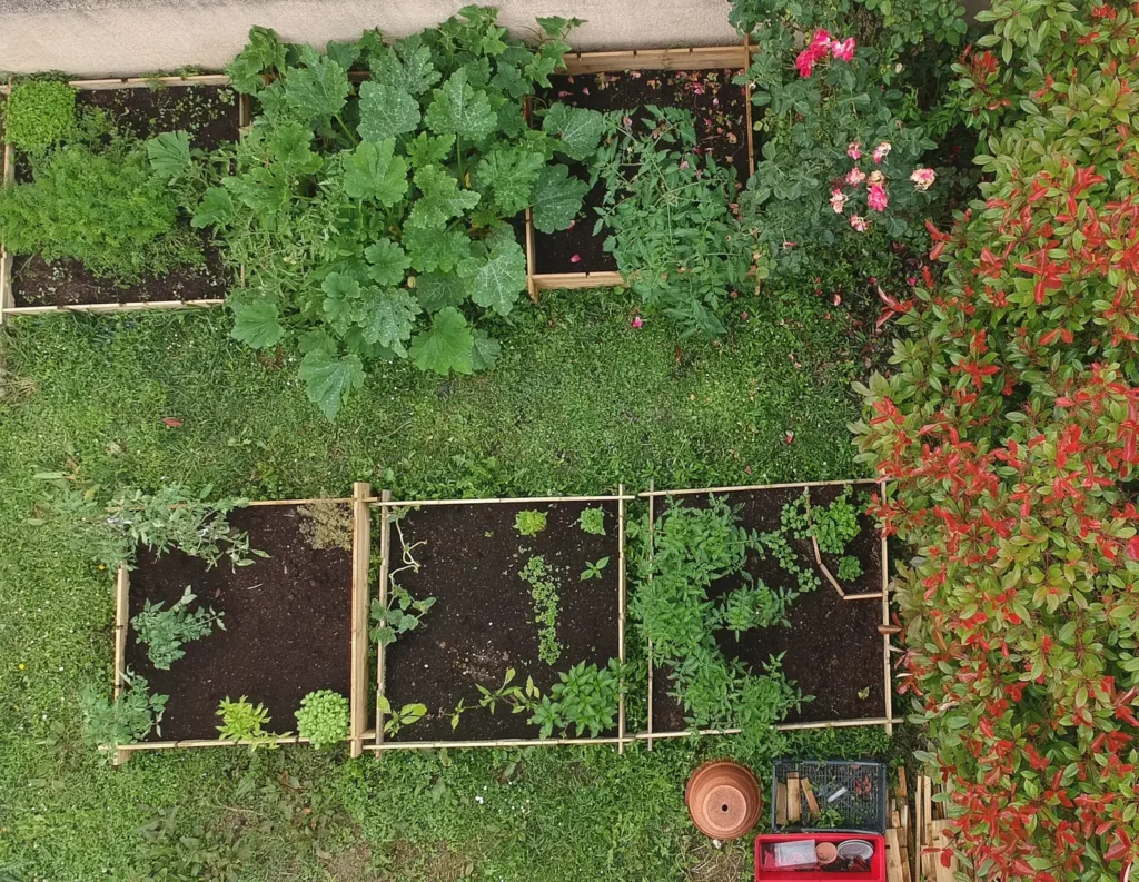 A small French potager garden in early summer