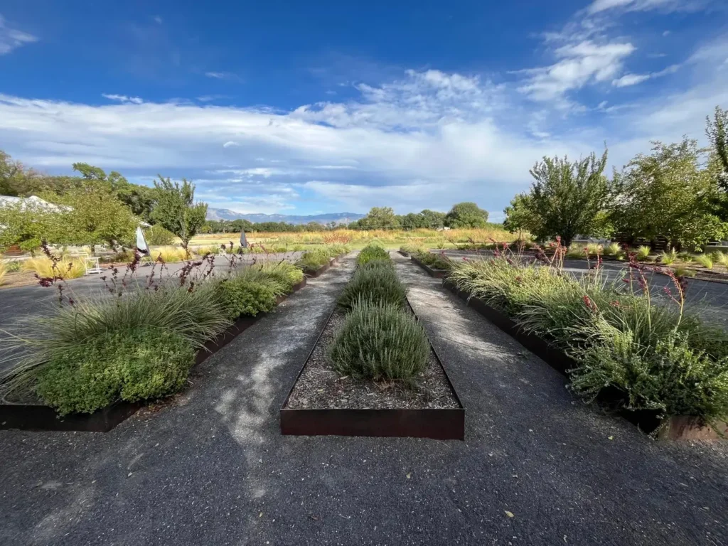 A potager-style kitchen garden with vegetables, herbs and flowers