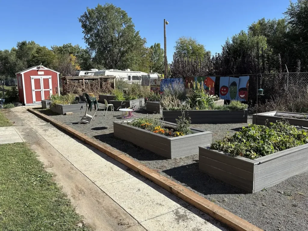 A school garden with several wooden raised beds and a garden shed