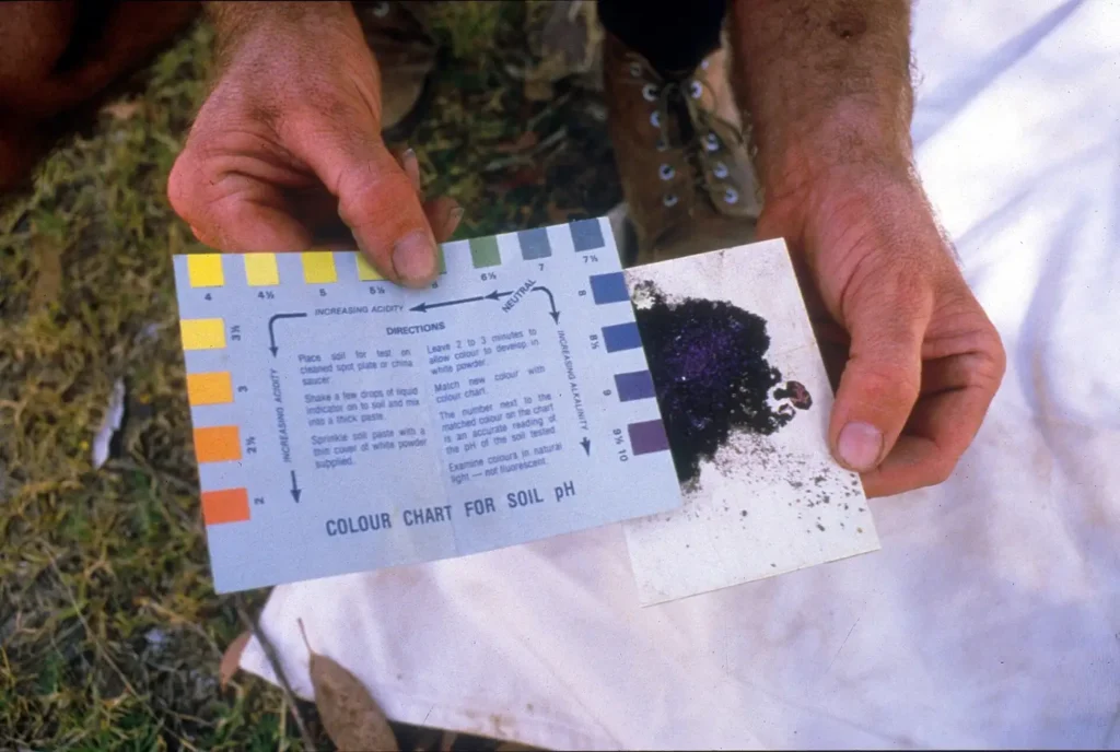 Testing a soil sample to measure its pH