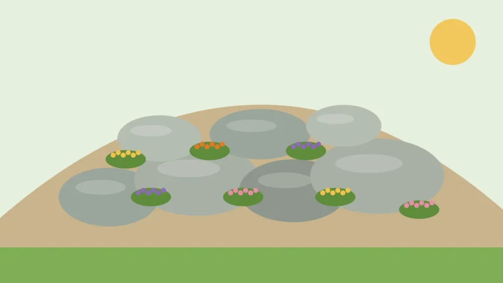 Illustration of a sunny rock garden slope with stones and small flowering plants