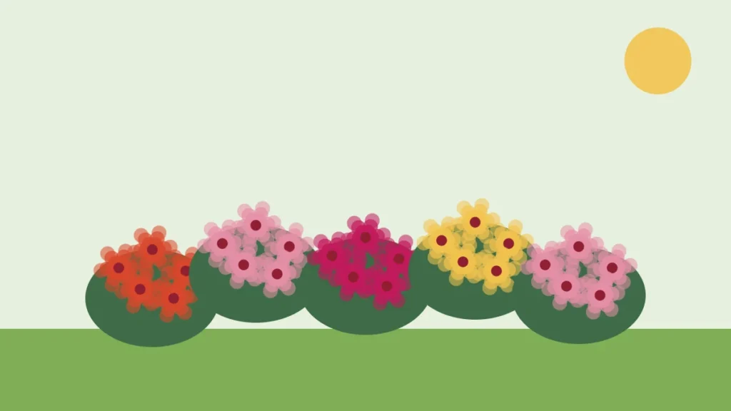 Illustration of a row of rose bushes in bloom in red, pink and yellow