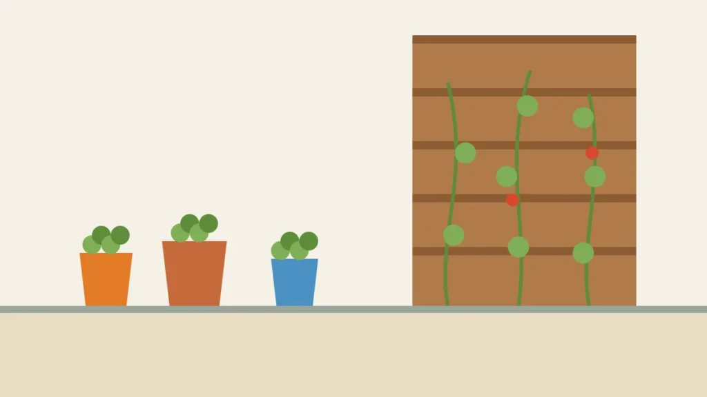 Illustration of a small patio garden with pots and climbing plants on a wooden fence