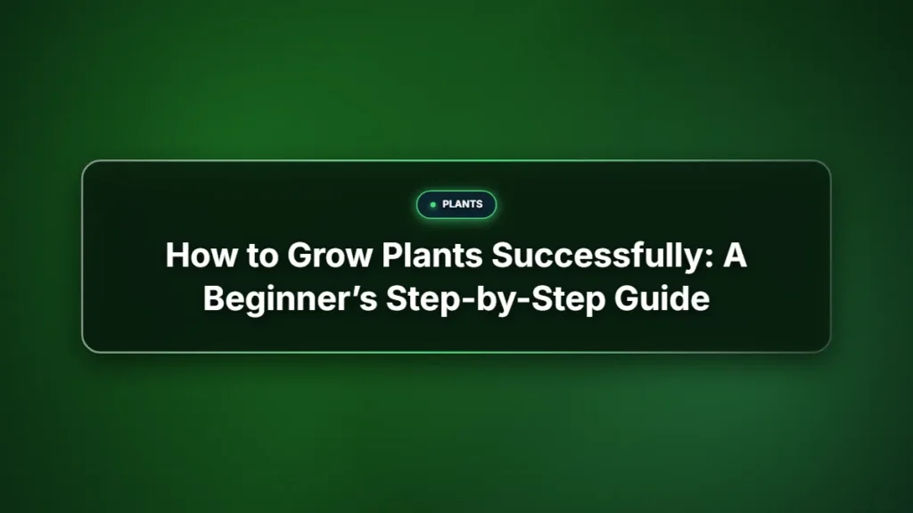 How to grow plants