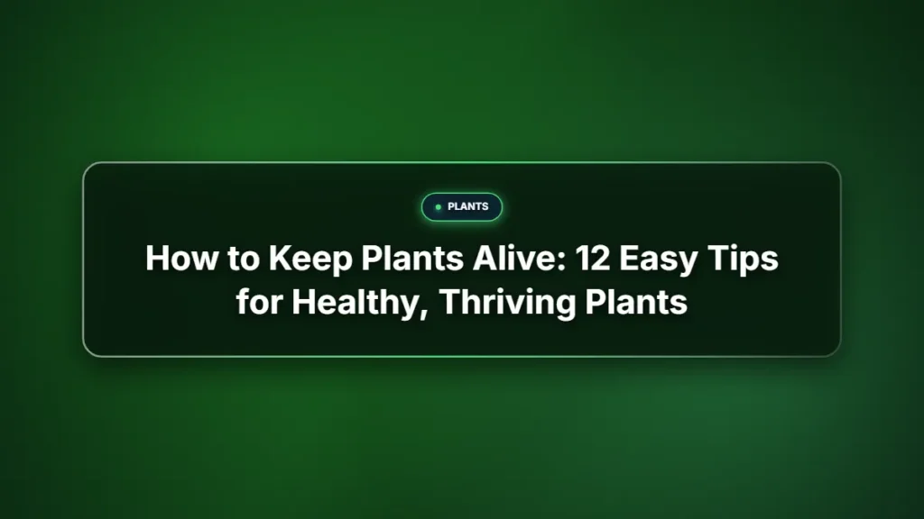 How to keep plants alive