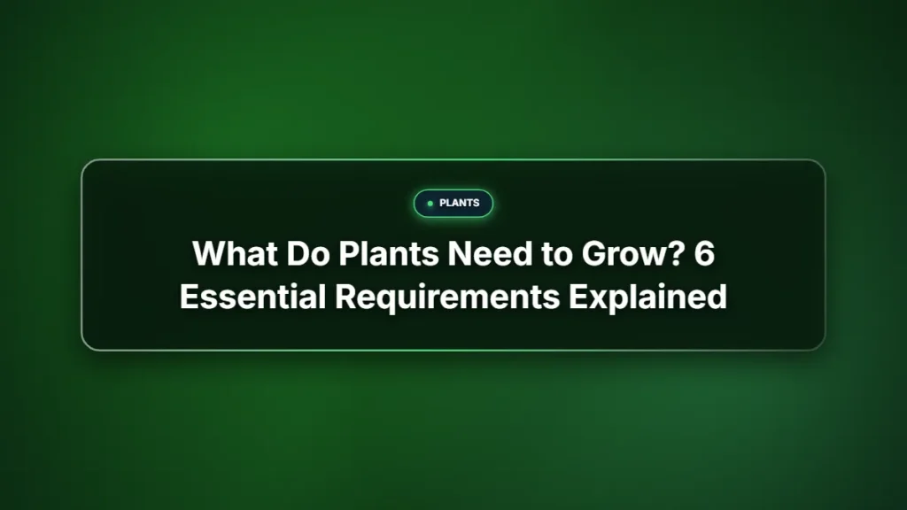 What do plants need to grow