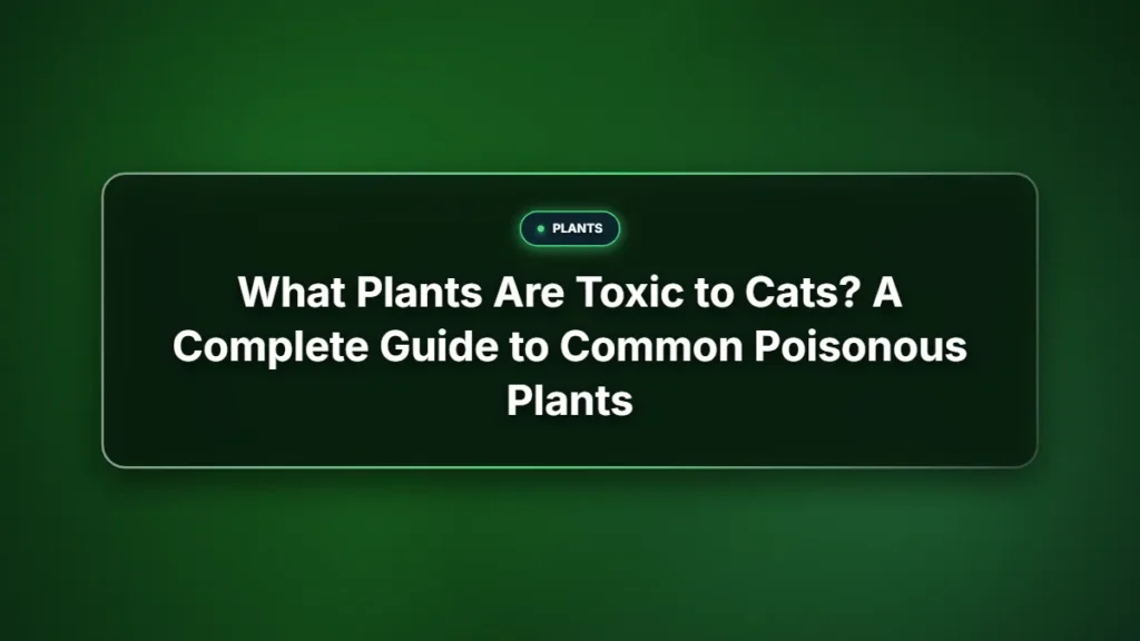 What plants are toxic to cats