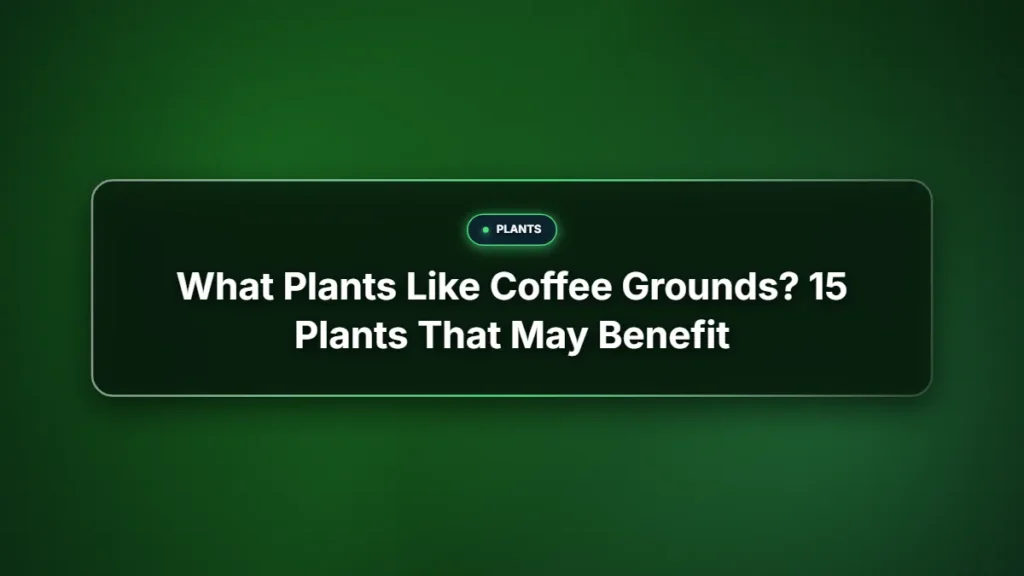 What plants like coffee grounds
