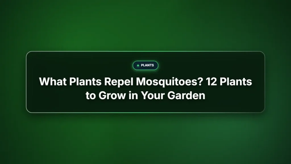 What plants repel mosquitoes